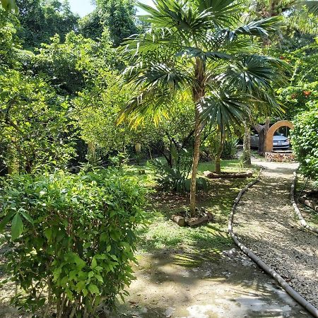 Mini Pini Bird Watching And Cenote Loft Villa Косумел Екстериор снимка