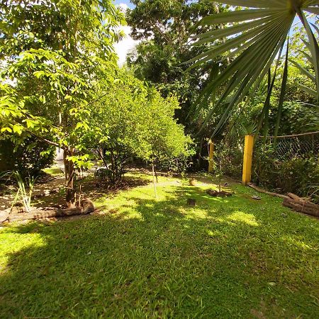 Mini Pini Bird Watching And Cenote Loft Villa Косумел Екстериор снимка