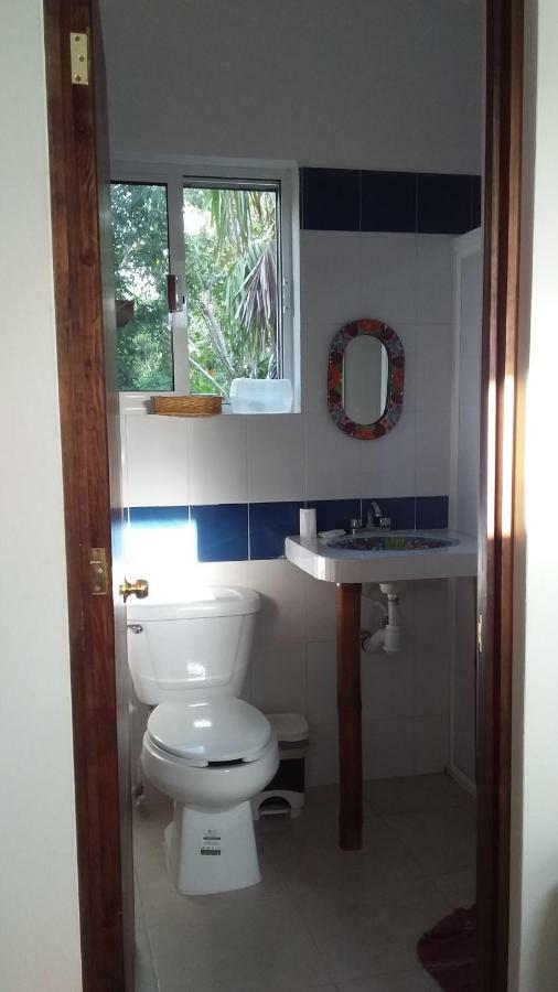 Mini Pini Bird Watching And Cenote Loft Villa Косумел Екстериор снимка