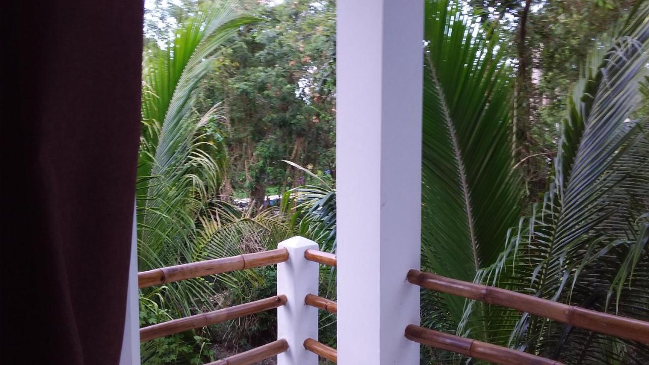 Mini Pini Bird Watching And Cenote Loft Villa Косумел Екстериор снимка