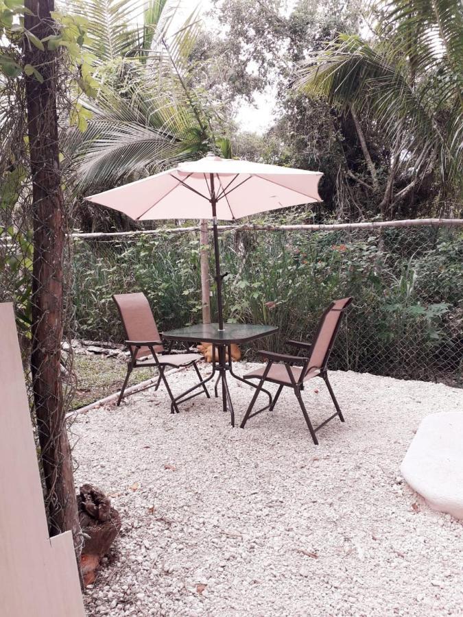 Mini Pini Bird Watching And Cenote Loft Villa Косумел Екстериор снимка