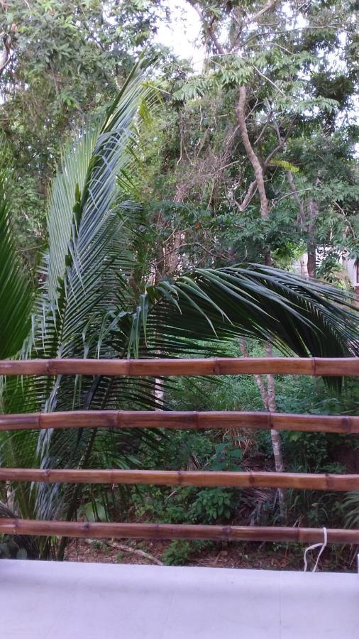 Mini Pini Bird Watching And Cenote Loft Villa Косумел Екстериор снимка