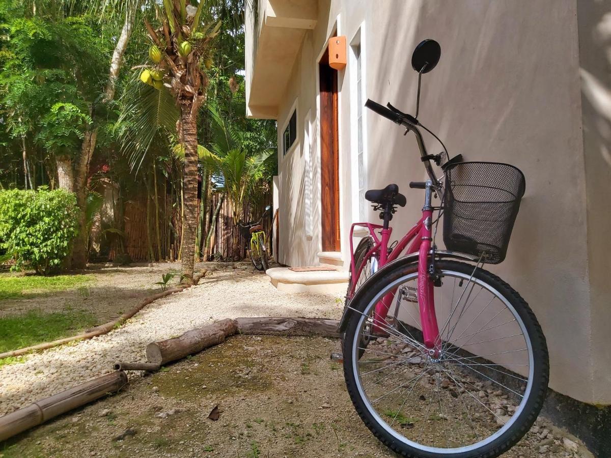 Mini Pini Bird Watching And Cenote Loft Villa Косумел Екстериор снимка