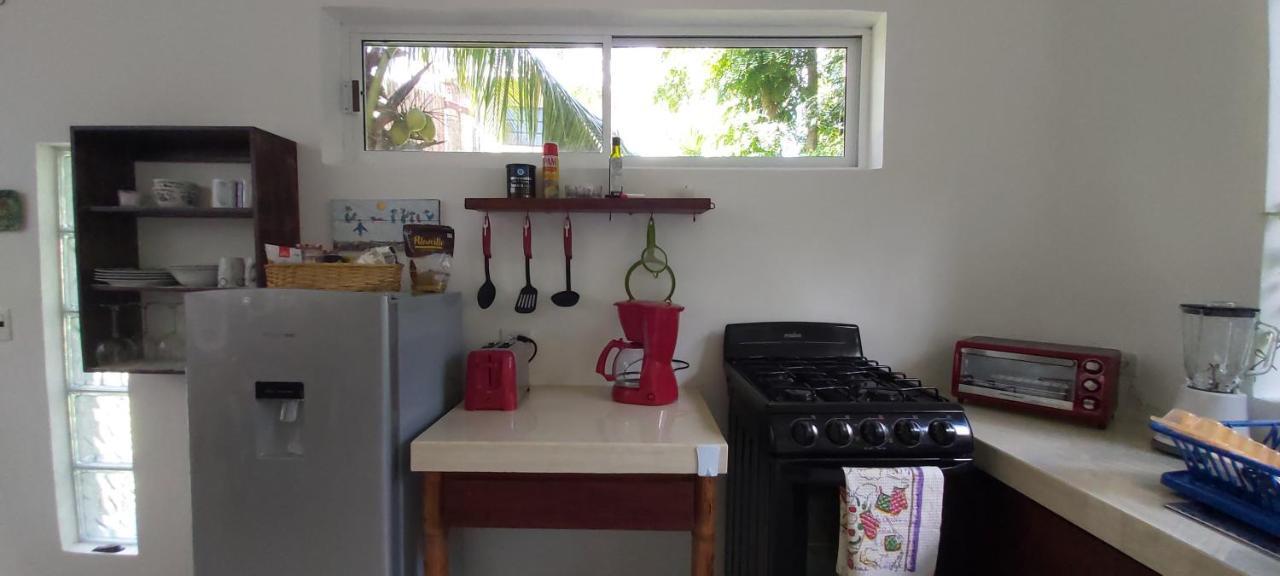 Mini Pini Bird Watching And Cenote Loft Villa Косумел Екстериор снимка