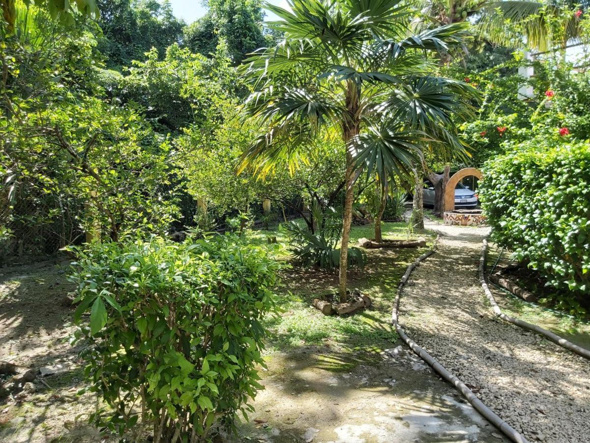 Mini Pini Bird Watching And Cenote Loft Villa Косумел Екстериор снимка